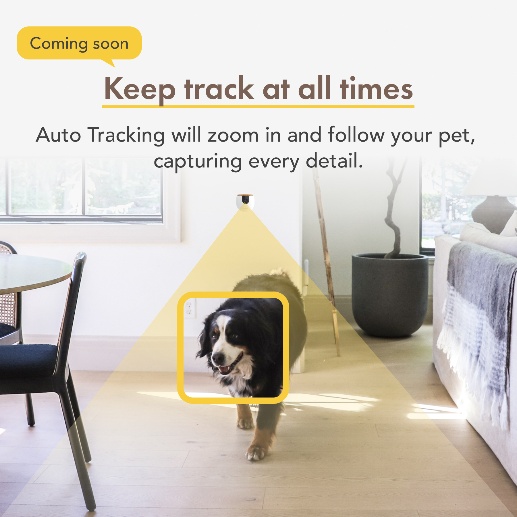 Furbo Mini｜Compact smart pet camera designed specifically for pets